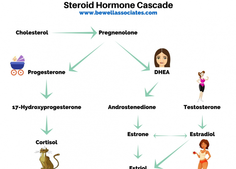 Stop PMS symptoms once and for all (The Progesterone Steal)