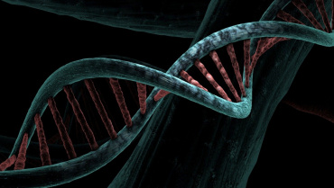 Ever wondered how your genetics are affecting your health?