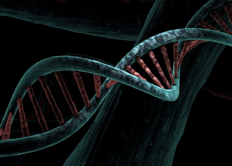 Ever wondered how your genetics are affecting your health?